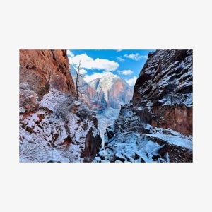 Zion National Park: Private Guided Hike & Picnic